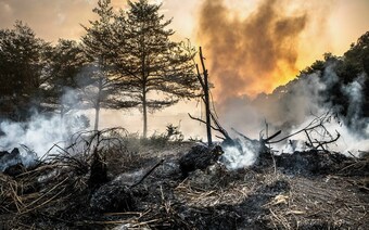 Оценка ущерба после стихийного бедствия в Уфе: отчет оценщика